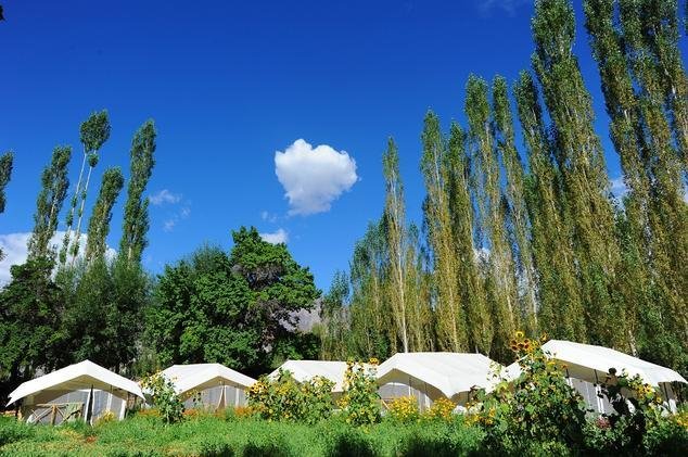 Traveltoexplore NubraValley Hotel